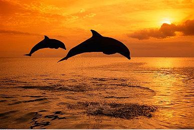  《蔚蓝64》PC平台免费发布 经典动作游戏衍生新篇