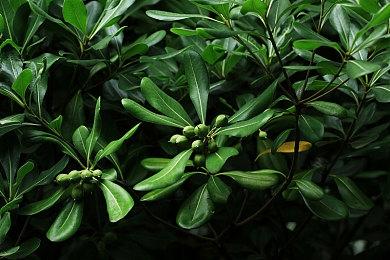 7.2折123元！年度游戏《双人成行》登顶Steam国区热销榜