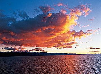 Xbox宣布将参加科隆展 迄今为止最大展位